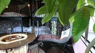 Guest house Yadoya Lodge Kyoto