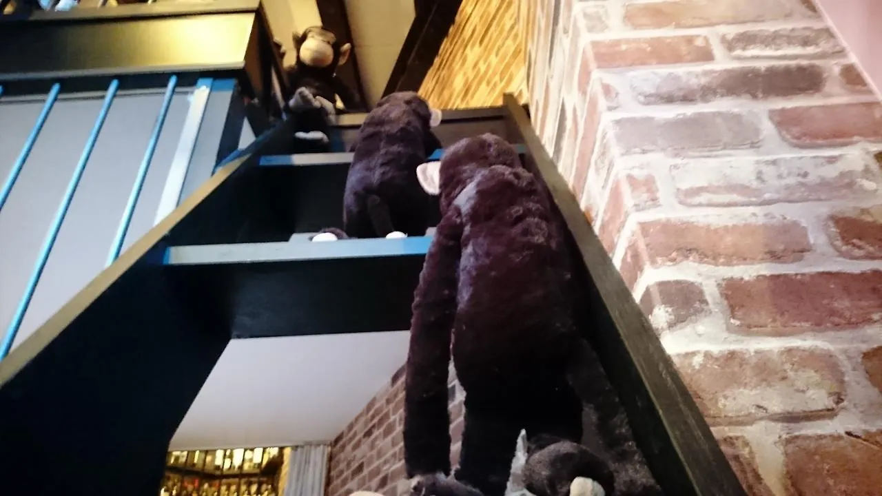 宿ya ロッジ 京都市 2*,  日本